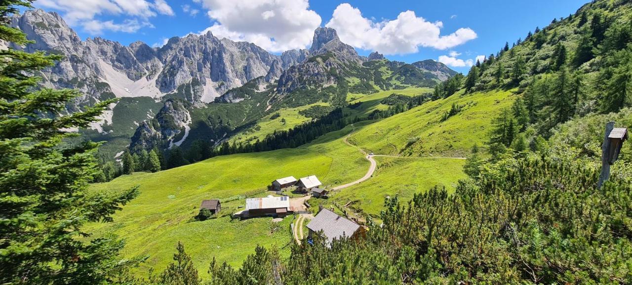 Alpenhaus Donnerkogel Apartment Annaberg im Lammertal Ngoại thất bức ảnh